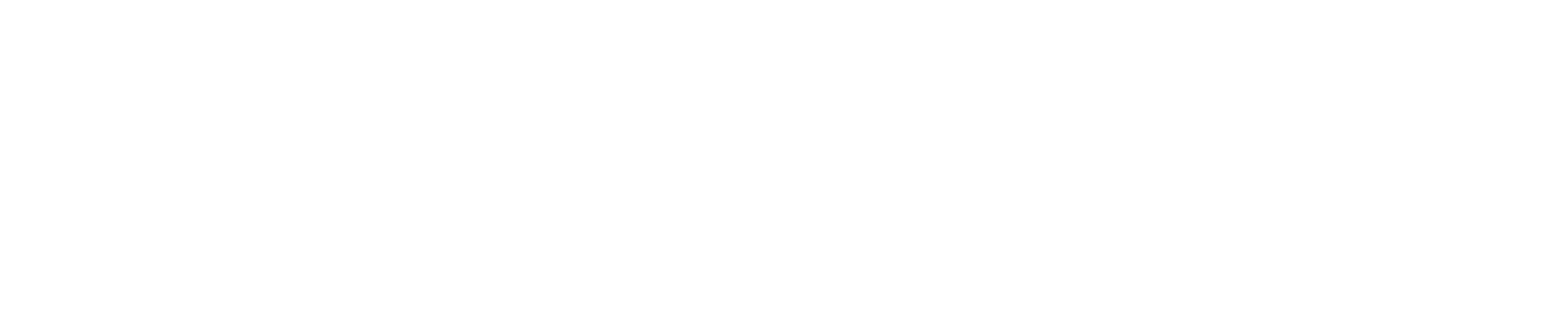 Site logo dark